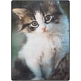 thumbnail image 1 of SKYSONIC Lightweight Carpet Mats Area Soft Rugs Floor Mat Rug Home Decoration for Kids Room Living Room 63 x 48 inches Kitten Staring, 1 of 6
