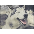 thumbnail image 1 of SKYSONIC Lightweight Carpet Mats Area Soft Rugs Floor Mat Rug Home Decoration for Kids Room Living Room 63 x 48 inches Smiling Husky, 1 of 6