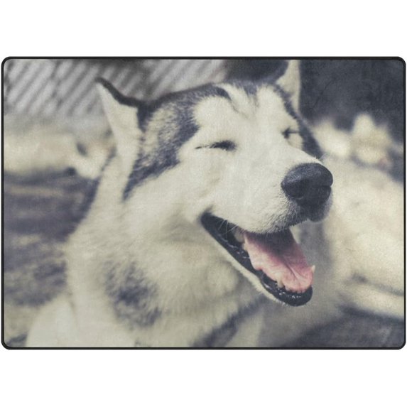 SKYSONIC Lightweight Carpet Mats Area Soft Rugs Floor Mat Rug Home Decoration for Kids Room Living Room 63 x 48 inches Smiling Husky