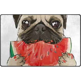 Watermelon Pug