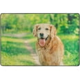 thumbnail image 1 of SKYSONIC Lightweight Soft Area Rugs Golden Retriever On Nature Floor Mat for Kids Playing Room Hardwood Floor Living Room Nursery Rugs, 72x48 inch, 1 of 6