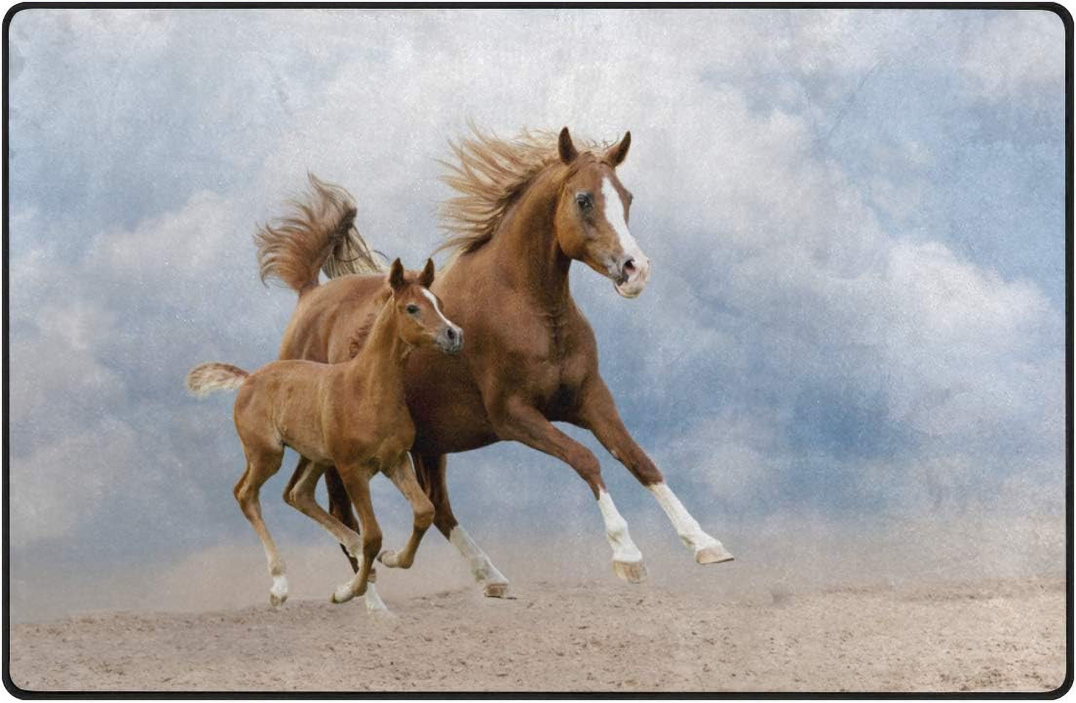 SKYSONIC Lightweight Soft Area Rugs Horse Running with Baby Floor Mat ...