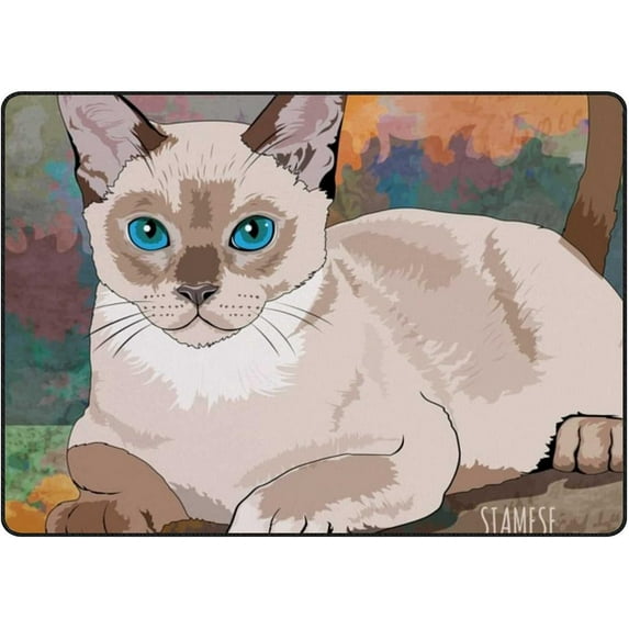 SKYSONIC Lightweight Soft Area Rugs House Cat Floor Mat for Kids Playing Room Hardwood Floor Living Room 63x48 inch Nursery Rugs