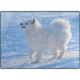 thumbnail image 1 of SKYSONIC Lightweight Soft Area Rugs Puppy of Samoyed Dog On Snow Floor Mat for Kids Playing Room Hardwood Floor Living Room 63x48 inch Nursery Rugs, 1 of 6