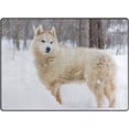 thumbnail image 1 of SKYSONIC Lightweight Soft Area Rugs Siberian Husky in The Snow Floor Mat for Kids Playing Room Hardwood Floor Living Room 80x58 inchNursery Rugs, 1 of 6