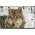 thumbnail image 1 of SKYSONIC Lightweight Soft Area Rugs Wolf On The Snowy Outside Floor Mat Doormat for for Rooms Entrance Hardwood Floor Living Room Nursery Rugs, 31x20 inch, 1 of 6