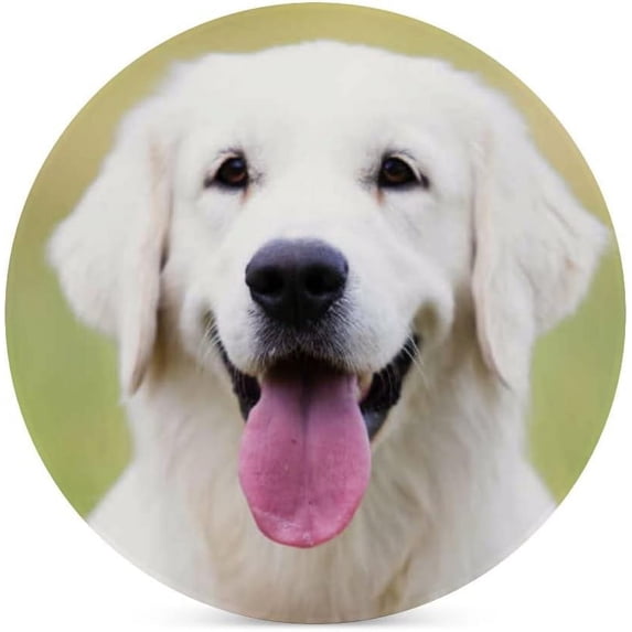 SKYSONIC Round Drink Coasters 1 Pcs Portrait of Golden Retriever Dog Absorbent Ceramic Coaster with Cork Base for Coffee Cups Housewarming Gift for Home Decor