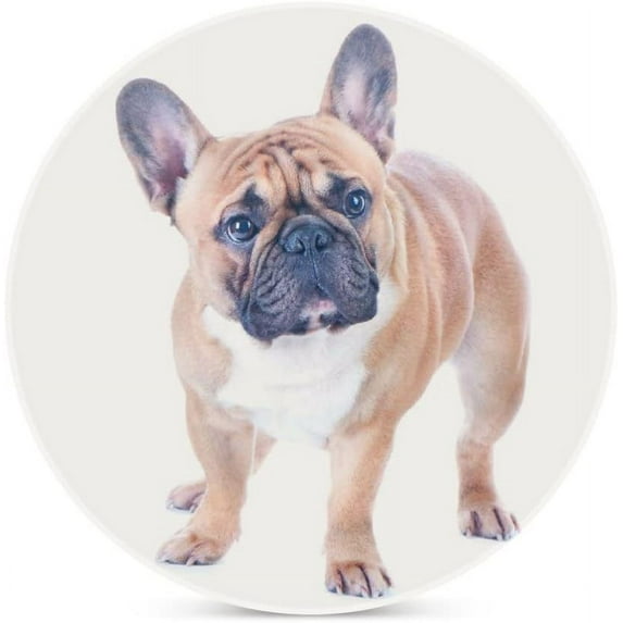 SKYSONIC Round Drink Coasters 2 Pcs Beautiful French Bulldog Isolated on White Absorbent Ceramic Coaster with Cork Base for Coffee Cups for Home Decor