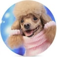 thumbnail image 1 of SKYSONIC Round Drink Coasters 6 Pcs Poodle Dog Wearing Pink Sweater in Winter Absorbent Ceramic Coaster with Cork Base for Coffee Cups Housewarming Gift for Home Decor, 1 of 6