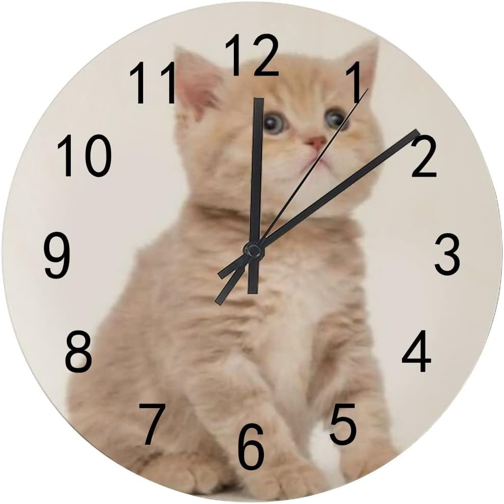 SKYSONIC Silent Wooden Round Wall Clock British Kitten Isolated on