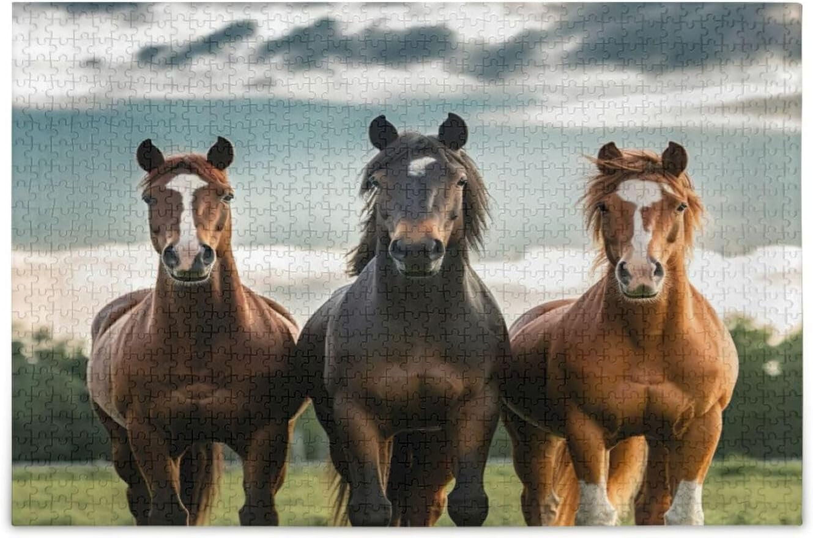 SKYSONIC Thought Horse Jigsaw Puzzles for Adults 500 Pieces ...