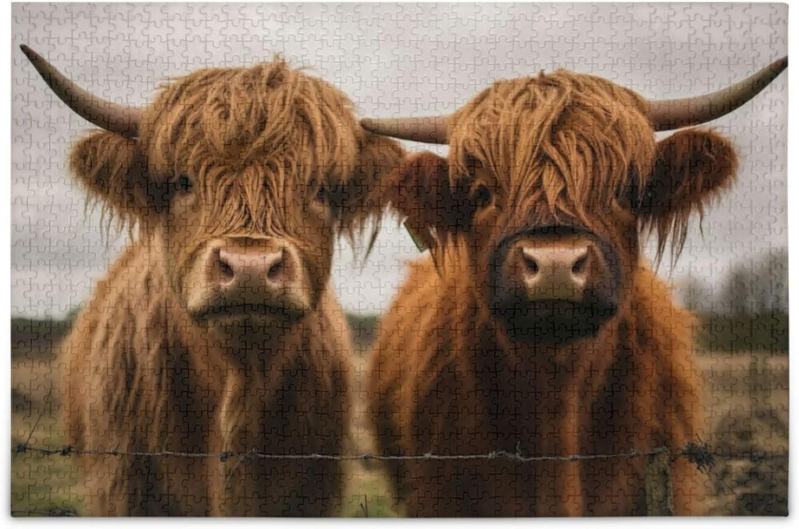 SKYSONIC Two Scottish Highlands Cow 1000 Piece Large Jigsaw Puzzle for