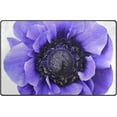 thumbnail image 1 of SKYSONIC Violet Flower Area Rug Pad - 31 x 20 inch - 100% Light Weight Polyester Fabric for Living - Bedroom, 1 of 6