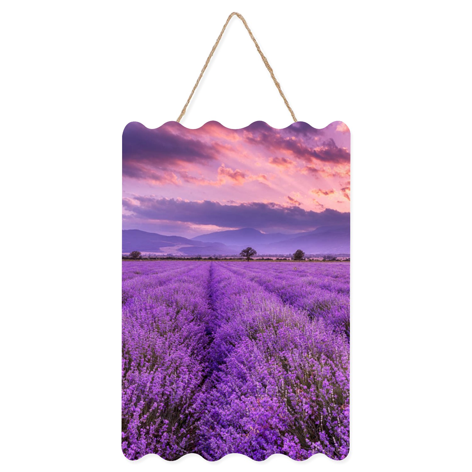 SKYSONIC Wavy Wooden Hanging Sign Rustic Art Wall Home Office