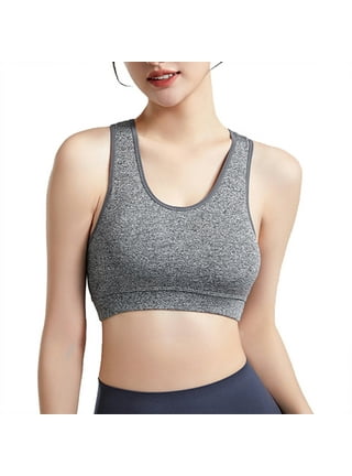 Torrid sports bras 2025