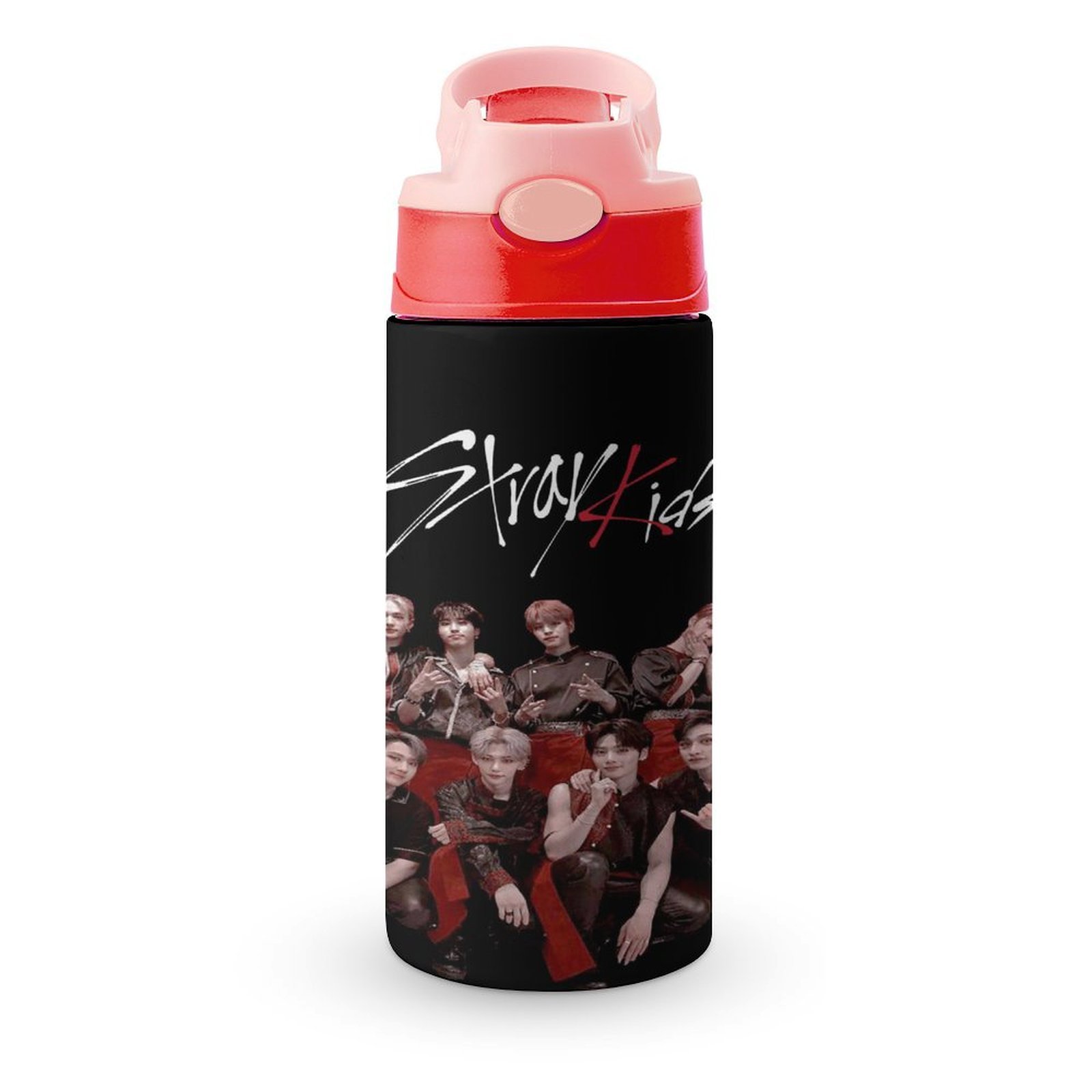 SKZ Stray Korea Ki-DS Water Bottle with Straw Lid Vacuum Insulated ...