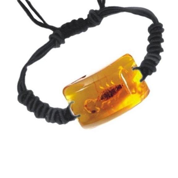 SL151 Real Bug Bracelet-Scorpion-Rectangle Shape-Amber