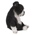 thumbnail image 1 of SLEEPY BOSTON TERRIER PUPPY STATUE SITTING, 1 of 8