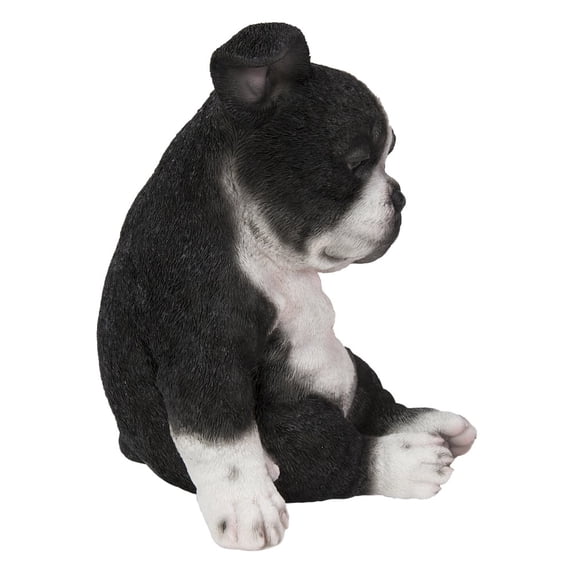 SLEEPY BOSTON TERRIER PUPPY STATUE SITTING