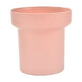 thumbnail image 1 of SLYNSHome 4.7 inch Succulent Pot,Pink Planting/Flower Pots,Small Planter for Mini Plant Plastic Plant Pot, 1 of 7