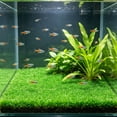 thumbnail image 1 of SLYNSHome Aquarium Grass Artificial Plastic Lawn 15.7x23.6 inch Square Landscape Green Plants for Saltwater Freshwater Tropical Fish Tank Decoration, 1 of 6