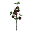 thumbnail image 1 of SLYNSHome Artificial Apple Branches,Spring Fake Fruit Branch Wine Faux Plants for Living Room Dorm Decor Farmhouse Vase Arrangement Centerpiece, 1 of 6