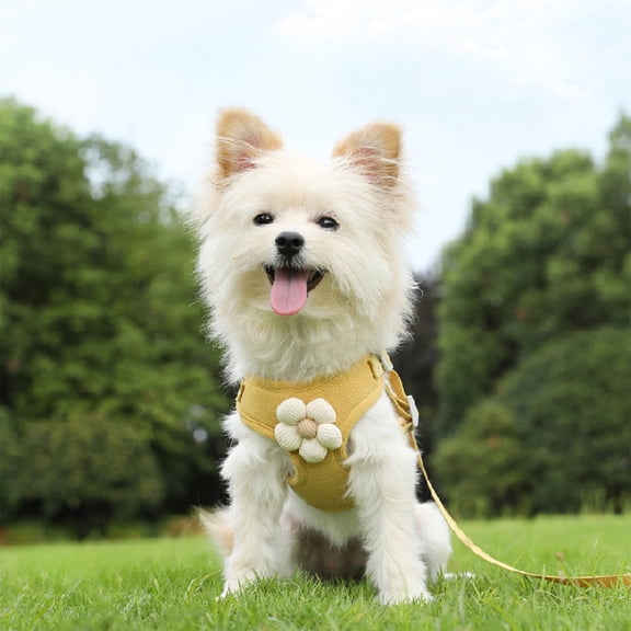 SLYNSHome Cat Harness and Leash Set for Walking Soft Adjustable Easy Control Lightweight Cat Vest Harnesses, Escape Proof Small Dogs Cats Vests - Yellow - M