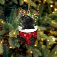 thumbnail image 1 of SLYNSHome Christmas Dog in Red Stocking Ornaments,Cute Dog Pendant for Xmas Tree Puppy Decor Hanging Christmas Tree Lovely Animal Home Craft Decoration or as Xmas Gift to Friends (), 1 of 3