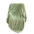 thumbnail image 1 of SLYNSHome Flannel Throw Blanket 39x27.5 inch,Plush Super Soft Throw Blanket Thickened Warm Artificial Fleece Blankets for Couch Bed Car Office Home Decorartion (Green), 1 of 7