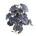 thumbnail image 1 of SLYNSHome Reptile Plants for Terrarium Decoration Artificial Green Plant,Amphibian Habitat Decor Artificial Hanging Plants for Home Garden Office Outdoor Indoor Decoration, 1 of 3