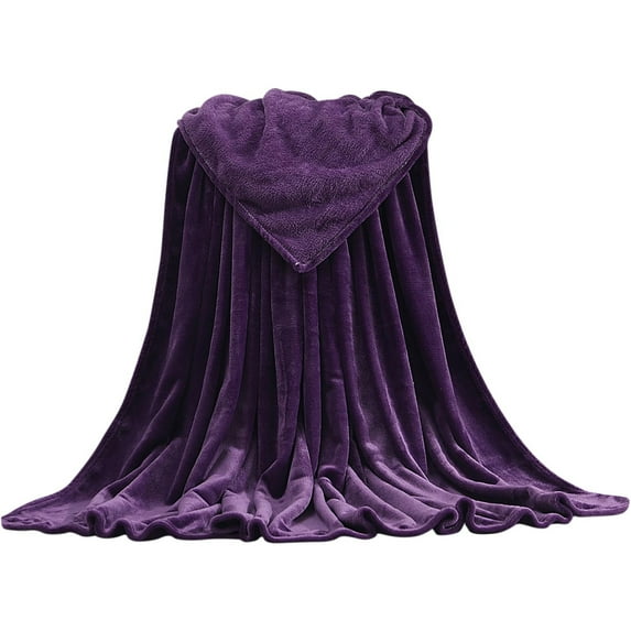 SLYNSHome Super Soft Warm Warm Micro Plush Fleece Blanket Throw Rug Sofa Bedding