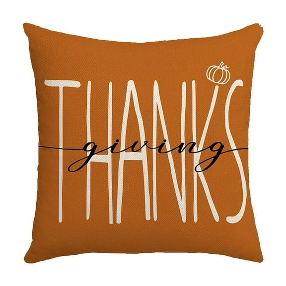 SLYNSHome Thanksgiving Day Throw Pillow Covers,18x18Inch Fall Harvest Pumpkin Throw Pillow Case Autumn Theme Sofa Cushion Covers for Home Office Car Decoration