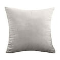 thumbnail image 1 of SLYNSHome Throw Pillow Covers 18x18 inch Cozy Velvet Pillowcases Solid Color Pillow Cases Soft Cushion Covers for Couch Sofa Bed - Light Gray, 1 of 6