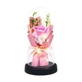 thumbnail image 1 of SLYNSHome Eternal Rose in Glass Dome for Women Valentine's Day Gift Preserved Pink Rose Bouquet Forever Flowers Present for Women Mothers Day Birthday Gifts, 1 of 7