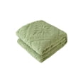 thumbnail image 1 of SLYNSHome Fleece Throw Blanket for Couch Sofa Bed Queen Size Lightweight Breathable Throws Green Plush Fluffy Decorative Blankets for All Season, 1 of 7