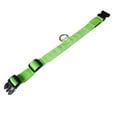 thumbnail image 1 of SLYNSHome LED Dog Collar USB Rechargeable,Reflective Light Up Pet Collar for Night Walking Adjustable Puppy Collar for Dogs Cats Kitty - Green, 1 of 5