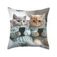 thumbnail image 1 of SLYNSHome Throw Pillow Covers Animal Holiday Decorations Cute Cat Pillows Case Vintage Kitten Cushion Case for Couch Sofa, 1 of 7