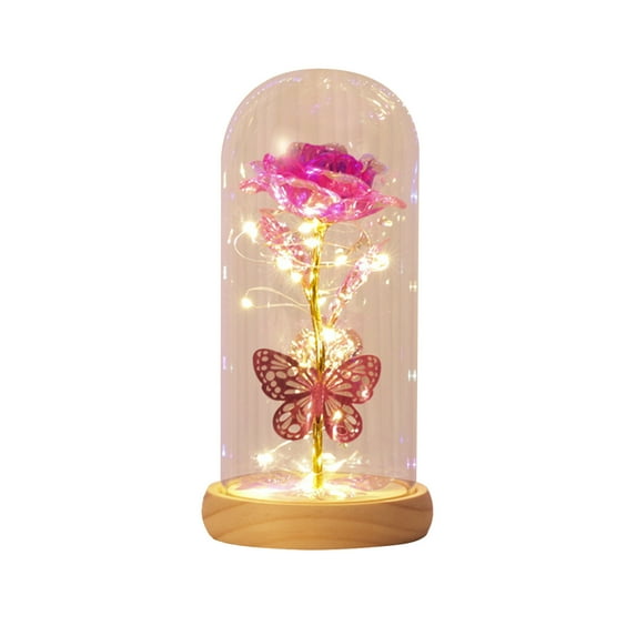 SLYNSHome Valentines Gifts for Womens,Pink Light Up Rose Glass Rose Forever Rose Flower in Glass Dome Birthday Mother Day Gifts for Mom Grandma Wife Her Sister