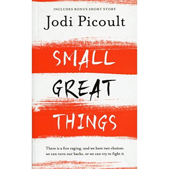 Pre-Owned Small Great Things: To Kill a Mockingbird for the 21st Century Paperback Jodi Picoult
