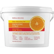 SMELLS BEGONE 1 Gallon Odor Absorber Gel - Industrial Air Freshener - Energizing Citrus Scent
