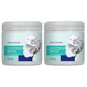 SMELLS BEGONE 15oz 2-Pack Odor Absorber Gel - Air Freshener & Odor Control - Soothing Breeze Scent