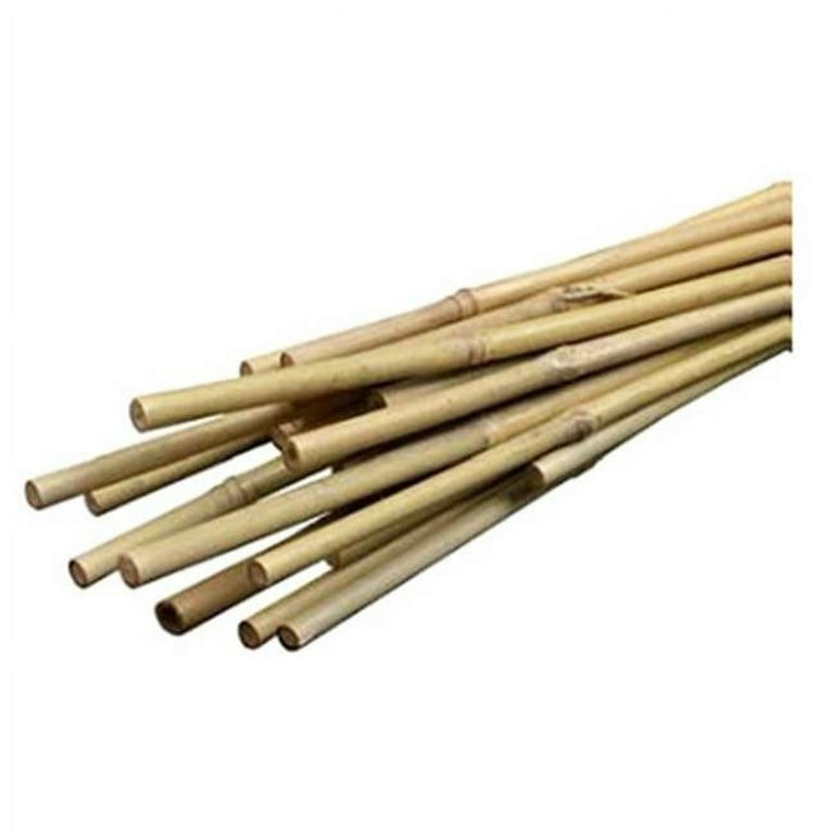 Piazza PI137752 Smg12034 6 ft. Heavy Duty Bamboo Stakes, 6 Pack
