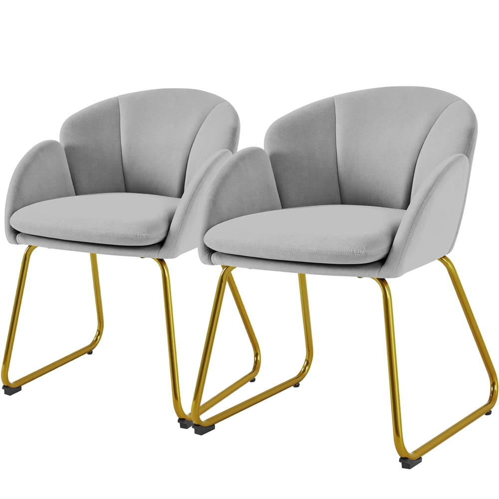 Alden Design Pack of 2 Velvet Armchair Dining Chair with Golden Metal Legs for Living Room/Bedroom/Kitchen, Gray