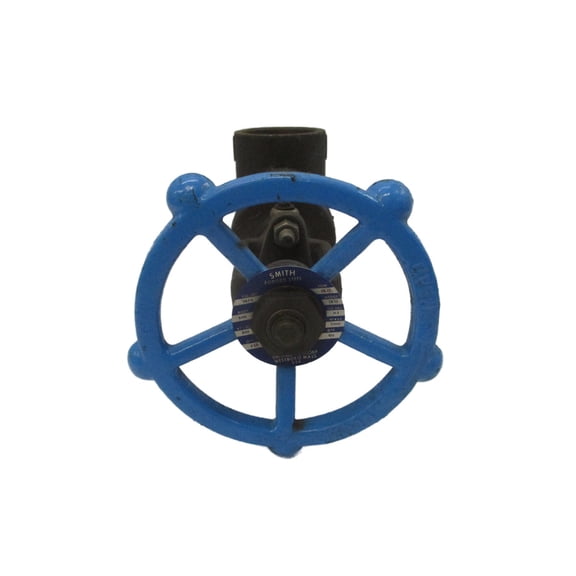 SMITH VALVE 0870 2" NSNP
