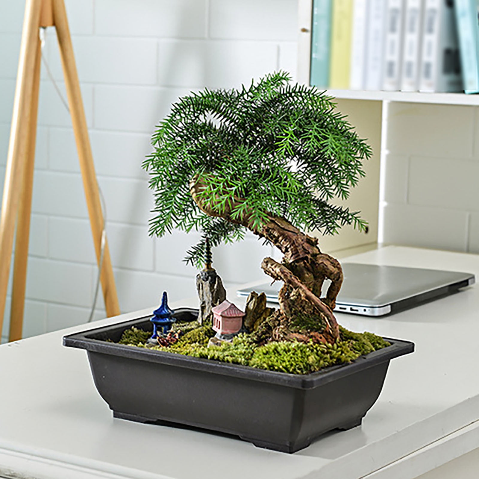 SMKE 1Pcs Large Plastic Bonsai Training Pots Flower Plant Retro Style  Square Nursery Pots,Rectangular Bonsai Planter,Planter For Bonsai  Tree,Ginseng ...