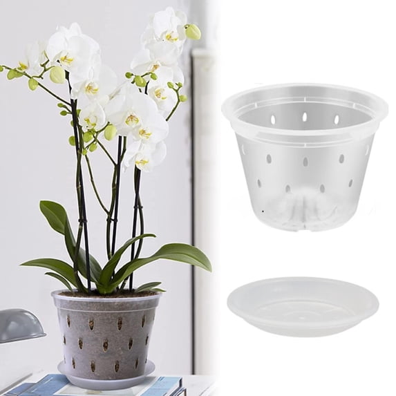 SMKE Clear Breathable Plastic Orchid Pot,Root Control Pot for Phalaenopsis and Dendrobium,110#,Transparent Hard Plant Cup,Simple Design,for Observing Root Growth and Healthy Cultivation