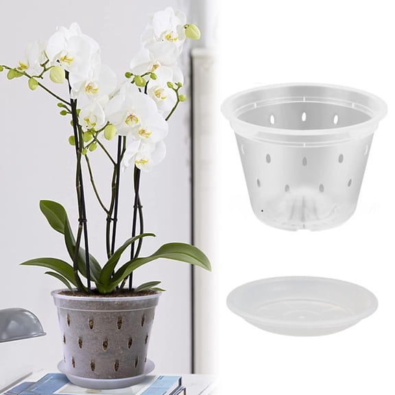 SMKE Clear Breathable Plastic Orchid Pot,Root Control Pot for Phalaenopsis and Dendrobium,150#,Transparent Hard Plant Cup,Simple Design,for Observing Root Growth and Healthy Cultivation