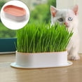 thumbnail image 1 of SMKE Household Cat Grass Planter, Plastic Catnip Cat Grass Box Soil Cat Plant Planting Box Nursery Cat Plant For Pet,Cat Grass For Indoor Cats,Cat Grass Kit,Cat Grass Plant,Kitty Lawn For Indoor Cats, 1 of 9