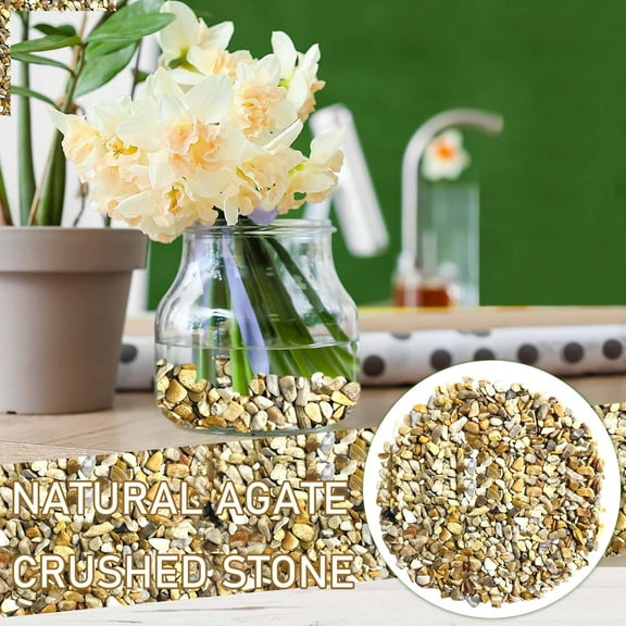 SMKE Succulent And Cactus Gravel Pebbles,Natural Decorative Polished Stones, River Rocks For Vases, Aquariums, Terrarium And Outdoor Gardening, Mixed Color,Succulent Soil Potting Mix