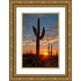 thumbnail image 1 of SMO 11x14 Gold Ornate Wood Framed with Double Matting Museum Art Print Titled - Saguaro cactus in the lower Sonoran desert in southern Arizona, 1 of 4